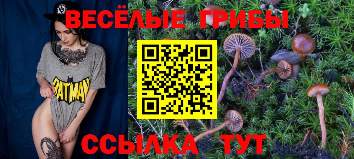 Галлюциногенные грибы ЛСД Елец