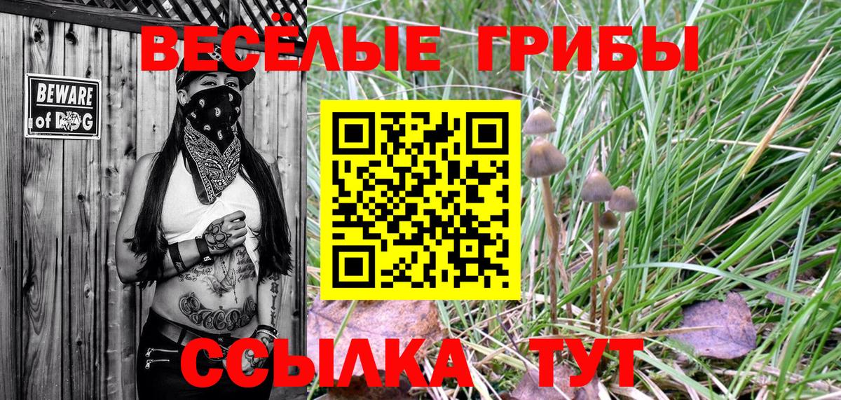 магазин    Вход с VPN  Елец  Галлюциногенные грибы прущие грибы 